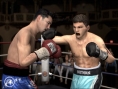 Fight Night Round 3 imagé