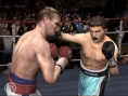 Fight Night Round 3 imagé
