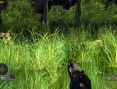 Far Cry Instincts Predator en images