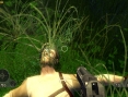 Far Cry Instincts Predator en images