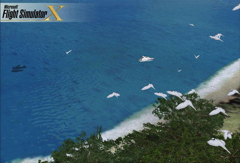 Flight Simulator X s'envole