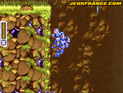 Mega Man ZX : plus d'images