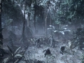 Crysis : des images terribles