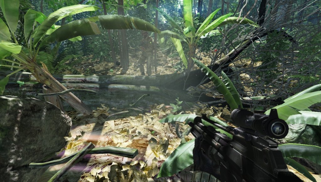 Crysis : des images terribles