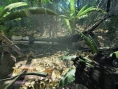 Crysis : des images terribles