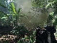 Crysis : des images terribles