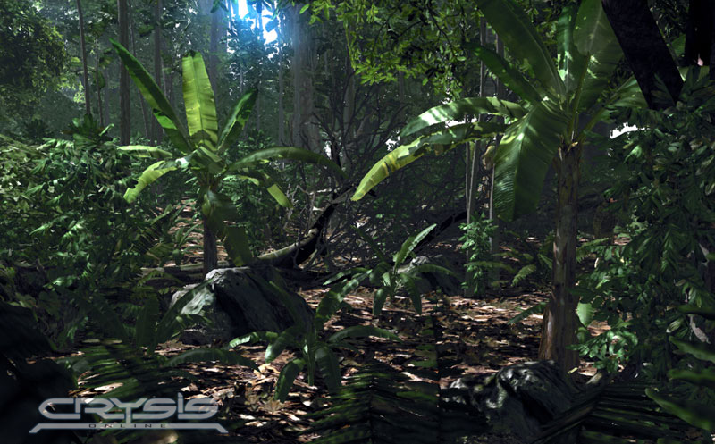 Crysis prend le contrôle
