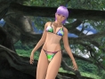 Dead or Alive Xtreme 2 se repose