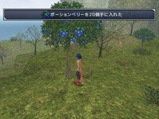 Wild Arms 5 fait bon voyage