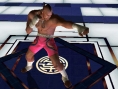 Tekken : Dark Resurrection sur la toile