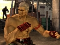 Tekken : Dark Resurrection sur la toile