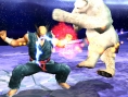 Tekken : Dark Resurrection sur la toile