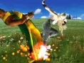 Tekken : Dark Resurrection sur la toile