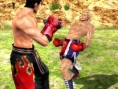 Tekken : Dark Resurrection sur la toile
