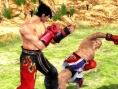 Tekken : Dark Resurrection sur la toile