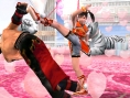Tekken : Dark Resurrection sur la toile