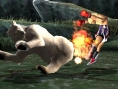 Tekken : Dark Resurrection sur la toile