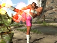 Tekken : Dark Resurrection sur la toile