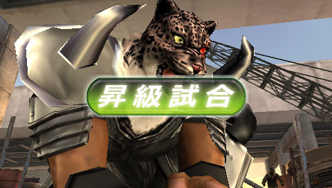 Tekken : Dark Resurrection en images