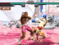 Tekken : Dark Resurrection en images