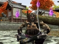 Tekken : Dark Resurrection en images