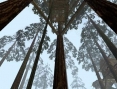 Myst en route vers l'Europe