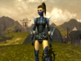 Guild Wars : Factions fait son show