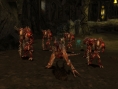 Guild Wars : Factions fait son show