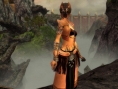 Guild Wars : Factions fait son show