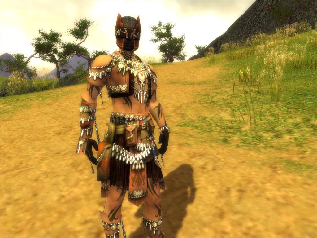 Guild Wars : Factions en armure