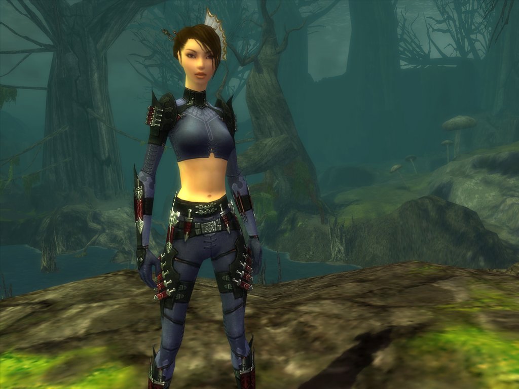 Guild Wars : Factions s'illustre