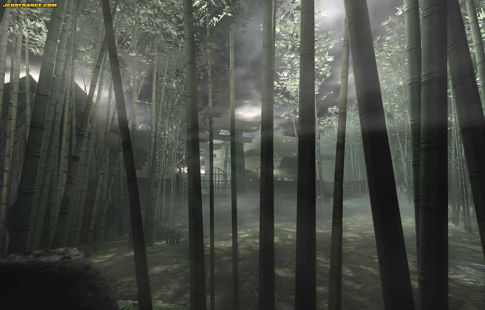 Red Steel : plus d'images