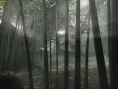 Red Steel : plus d'images