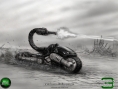 C&C 3 : images et Artworks