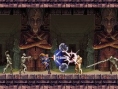Castlevania Portrait of Ruin imagé