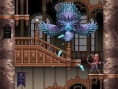 Castlevania Portrait of Ruin imagé