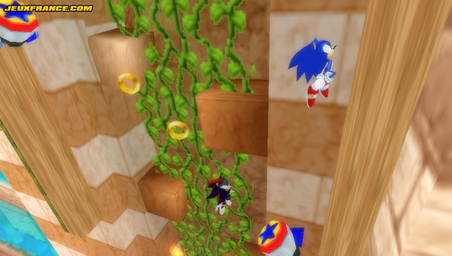 Sonic Rivals prend la pose