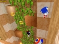 Sonic Rivals prend la pose