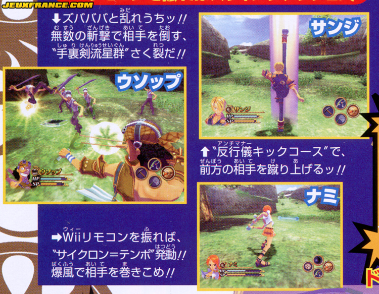 One Piece se précise sur Wii