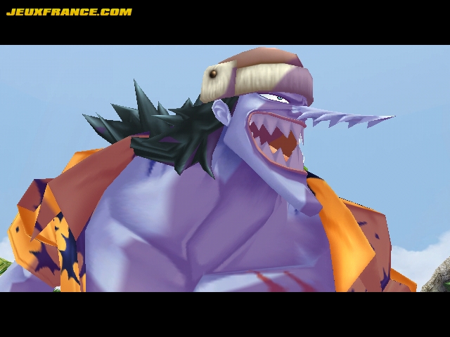 One Piece Wii : plus d'images