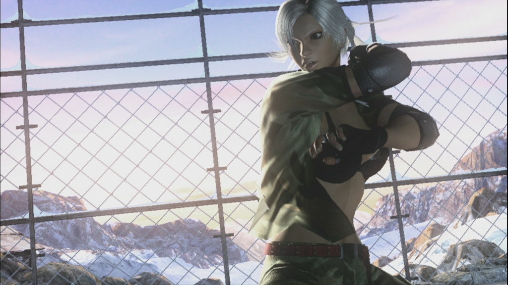 Virtua Fighter 5 s'exhibe en images