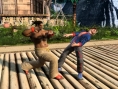 Virtua Fighter 5 en 16 images