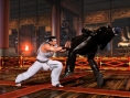 Virtua Fighter 5 en 16 images