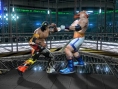 Virtua Fighter 5 en 16 images