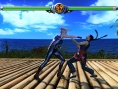 Deux de plus pour Virtua Fighter 5