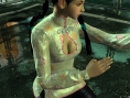 Virtua Fighter 5 se précise en images