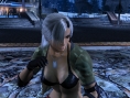 Virtua Fighter 5 se précise en images