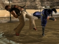 Virtua Fighter 5 se précise en images