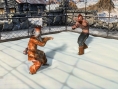 Virtua Fighter 5 se précise en images