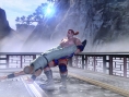 Virtua Fighter 5 se précise en images